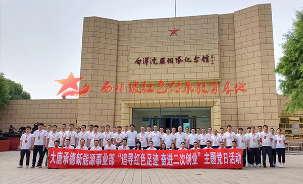 大唐新能源白洋淀主题党日活动